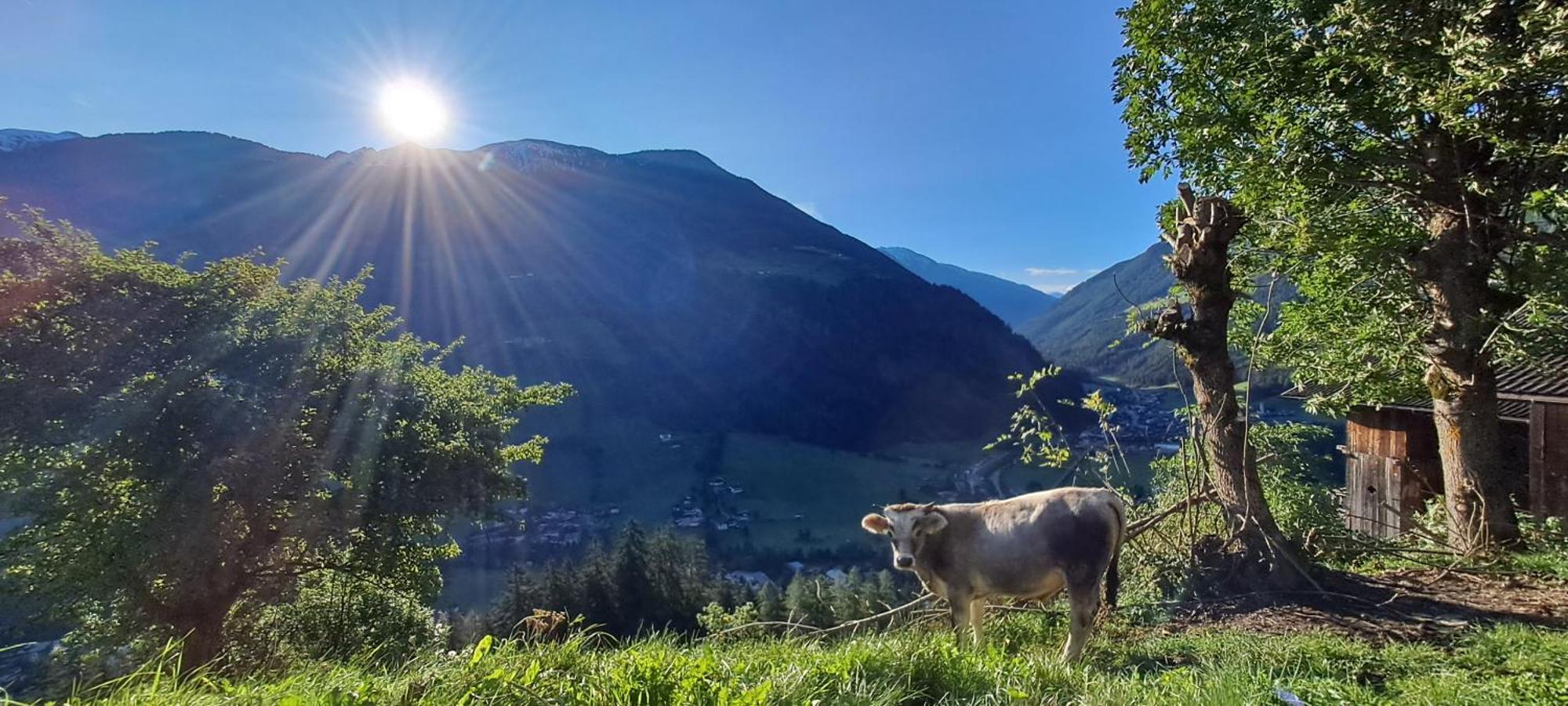 Апартаменты Grossstahlhof Mountain & Panorama View Ahrntal Экстерьер фото