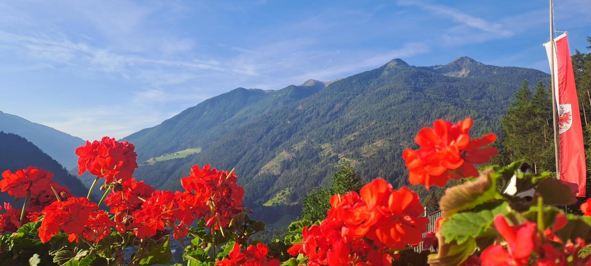 Апартаменты Grossstahlhof Mountain & Panorama View Ahrntal Экстерьер фото